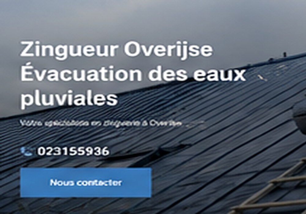 Travaux de toiture professionnels